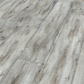 D 4779 10160