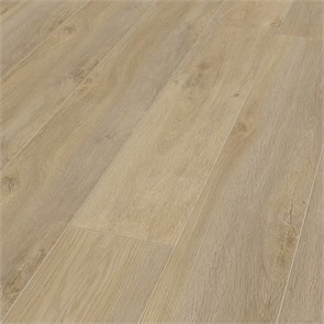 D 4954 10161