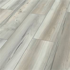 D 50162 10055
