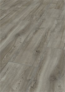 D 3662 10065