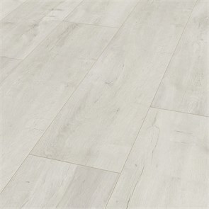 D  4984 10077
